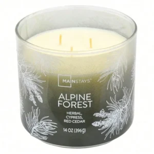 3-Wick Ombre Wrapped Alpine Forest Scented Candle